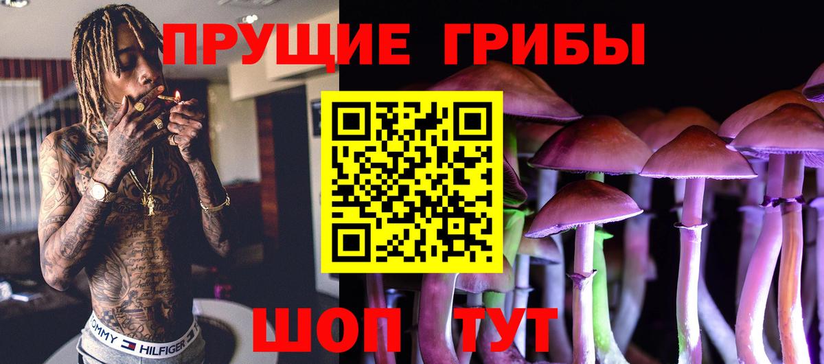 Псилоцибиновые грибы Psilocybe  Вход с VPN  Галлюциногенные грибы Psilocybe  Татарск 